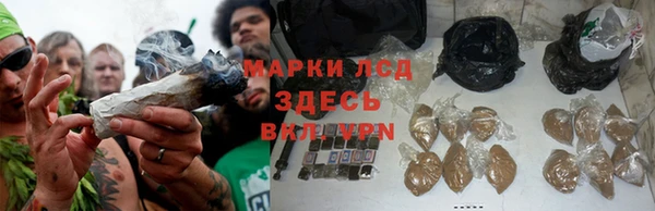 соль ск Надым