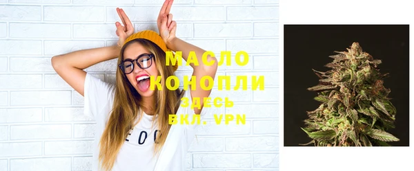 молекула духа Навашино