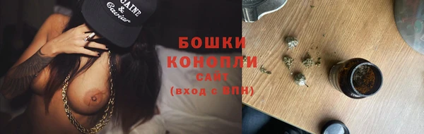 соль ск Надым