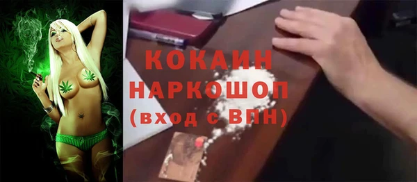 соль ск Надым