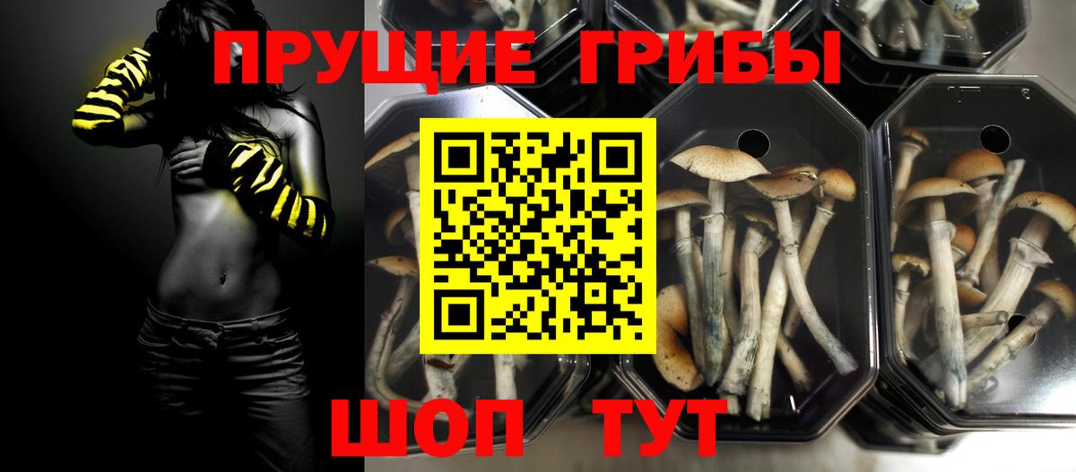 Владимир  Галлюциногенные грибы мухоморы  Вход с VPN 