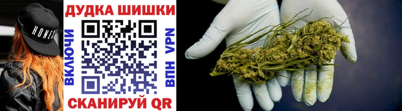 где найти   Владимир  Канабис марихуана 