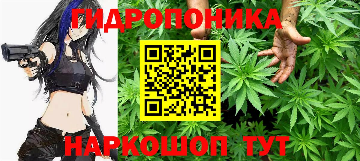 Бошки марихуана конопля  Вход с VPN  Марихуана VHQ  Владимир  МАРИХУАНА гибрид 